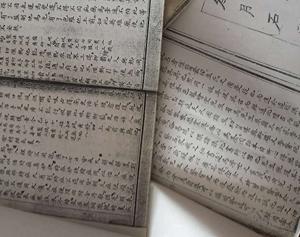 醫(yī)學古書(4)